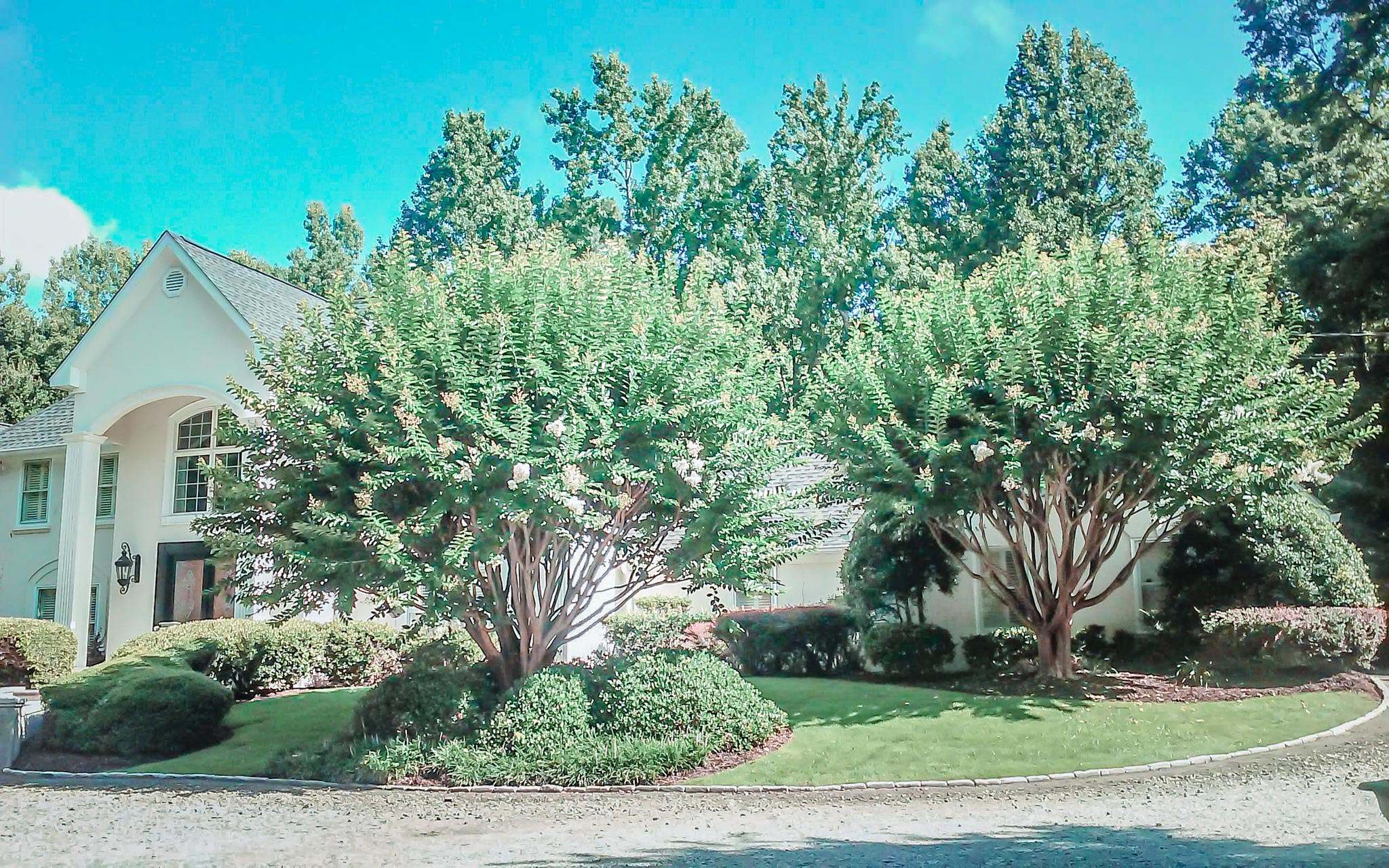 Residential Landscape Maintenance Company Alpharetta GA Michaelangelo s residential-landscape-maintenance-company-alpharetta-ga-michaelangelo-s